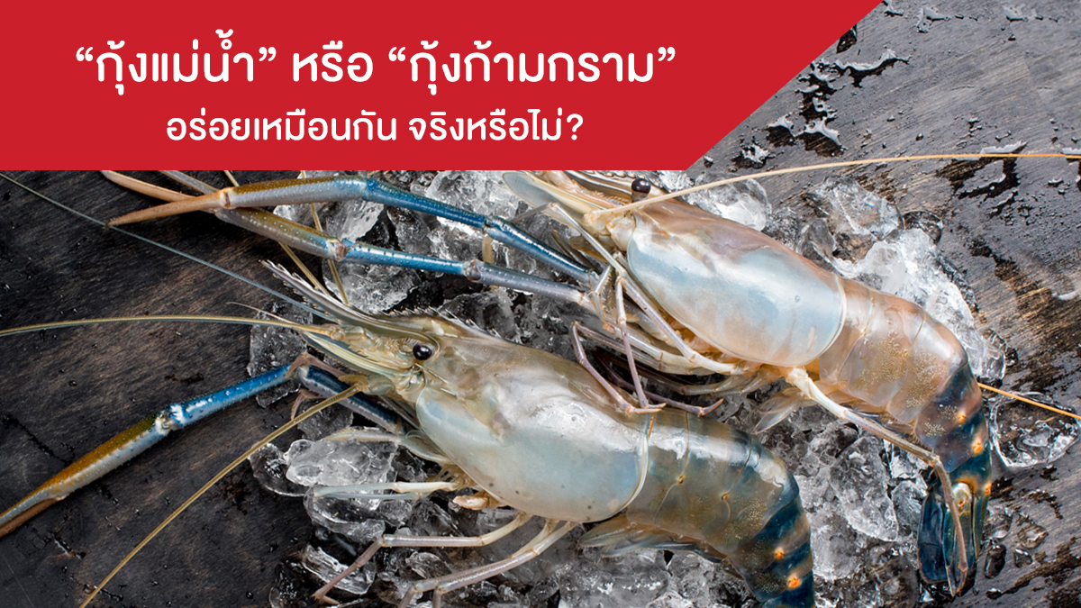 True or False: Giant River Prawns and Giant Freshwater Prawns Are